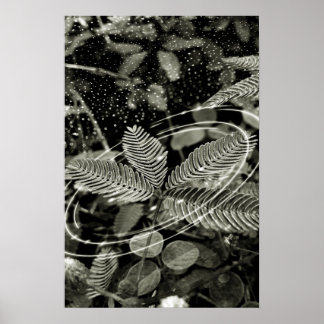 Poster Folhas - Green