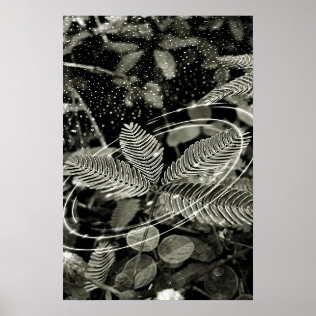 Poster Folhas - Green (Devant)