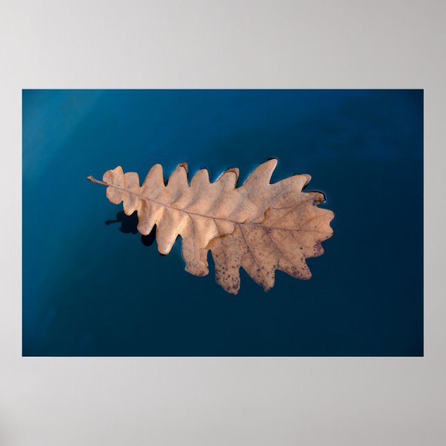 Poster Foliage (Devant)