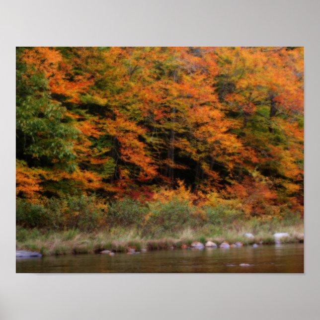 Poster Foliage d'automne Bordage Rivière Orton Art (Devant)