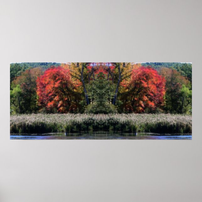 Poster Foliage D'Automne Dans Un Miroir Orton Marsh Abstr (Devant)