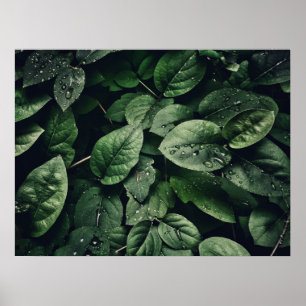 Poster Foliage de feuilles de jungle vertes profondes