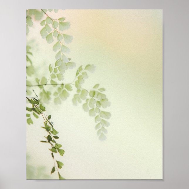 Poster Foliage de printemps (Devant)