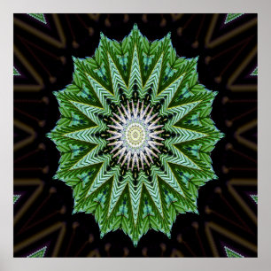 Poster Foliage Mandala.......