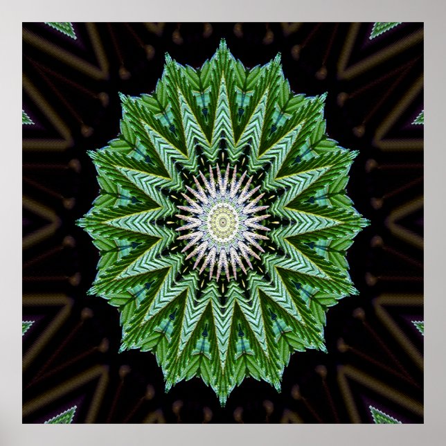 Poster Foliage Mandala....... (Devant)
