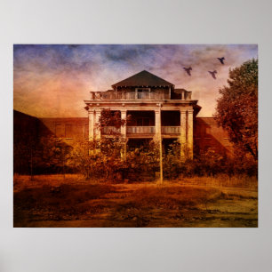 Poster Folie-Asile créatif