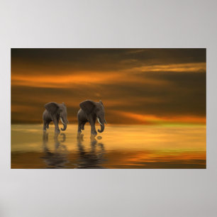 Poster Follow Me Two