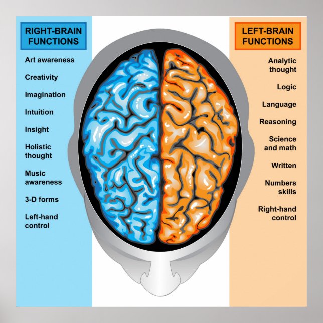 Poster Fonctions gauche et droite du cerveau humai (Devant)