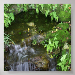 Poster Fond photo Fairy Hot Spot