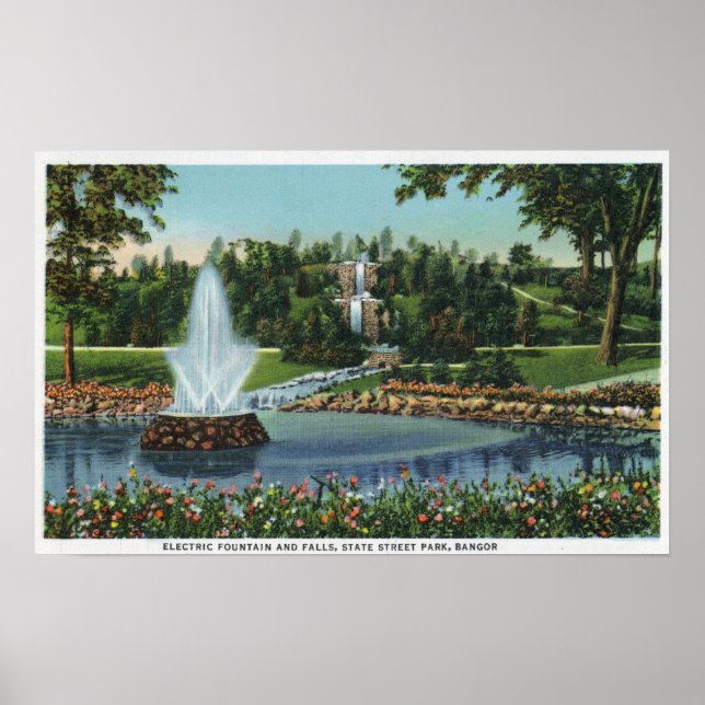 Poster Fontaine électrique et chutes (Devant)