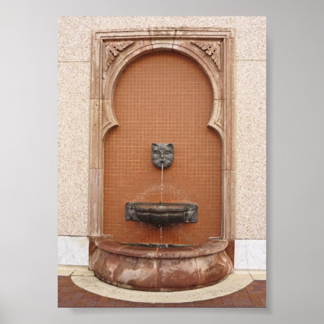 Poster Fontaine Plaza Cat (Devant)