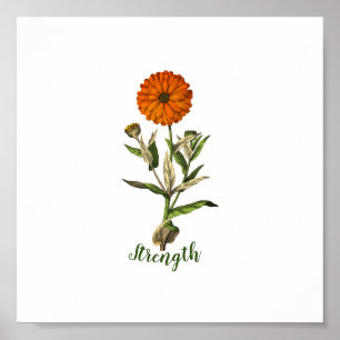 Poster Force Marigold Inspirational