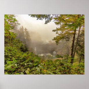 Poster Forest and Ocean Landscape