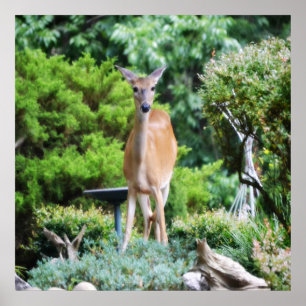 Poster Forest Deer