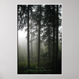 Poster "FOREST MIST" Forêt sauvage Imprimer