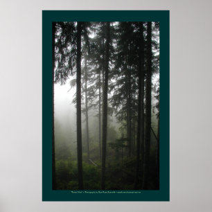 Poster "FOREST MIST" Forêt sauvage Imprimer