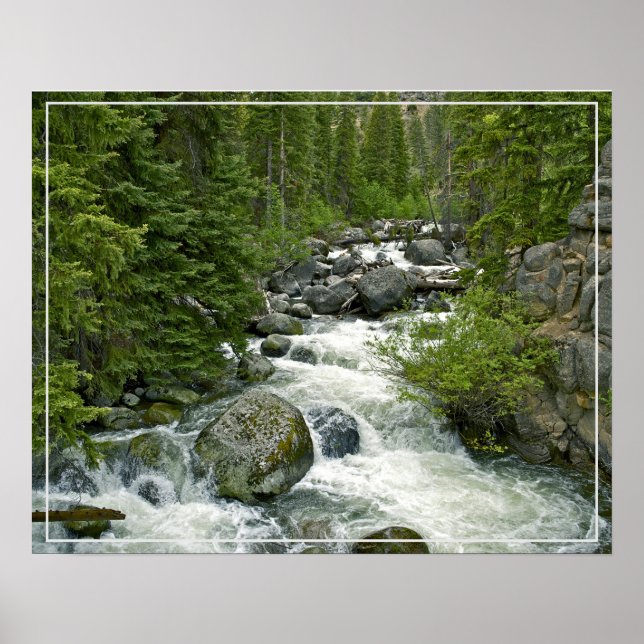 Poster-Forest River Poster (Front)