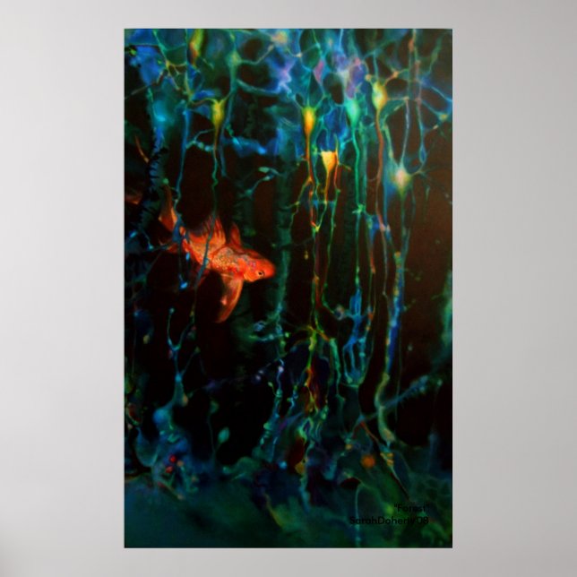 Poster "Forest" Sarah Doherty 2008 (Devant)