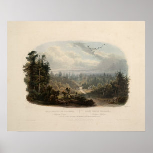 Poster Forest scene on the Tobihanna, Alleghany Mountains