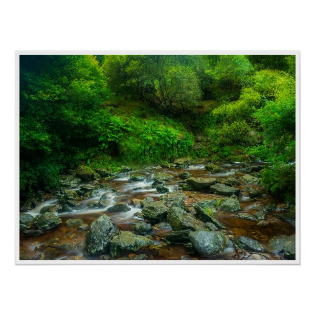 Poster Forest Stream in Lush Woodland (Dargle River) (Devant)