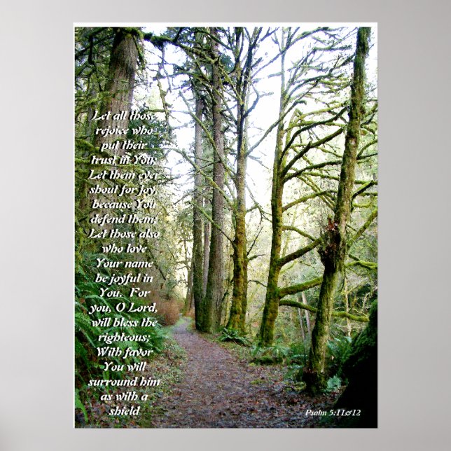 Poster Forest Trail Isaiah 41:10 Imprimer (Devant)
