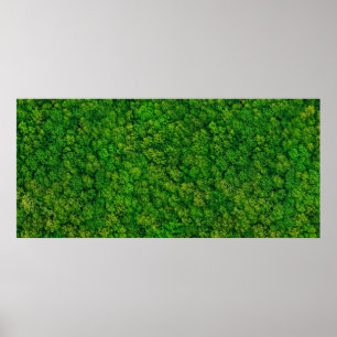 Poster Forest view from above, aerial top view with copy