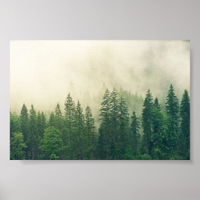 Poster forêt à poster, grande forêt (Devant)