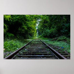 Poster forêt abandonnée avec des voies de train