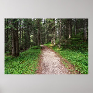 Poster forêt alpine