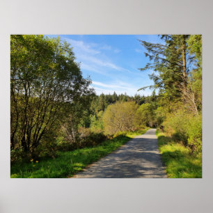 Poster Forêt arbres le long chemin de marche Magnifique j