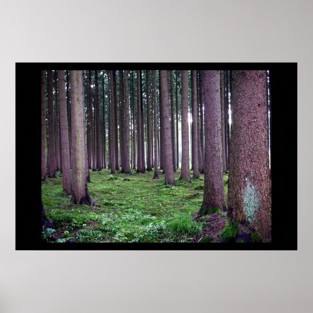 Poster Forêt bavaroise (Devant)