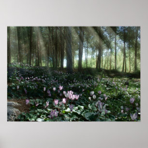 Poster Forêt Ben Shemen en Israël, Terre Sainte