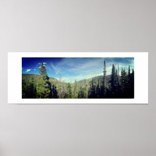 Poster Forêt Bois Couleur Photographie Vert Panoramique