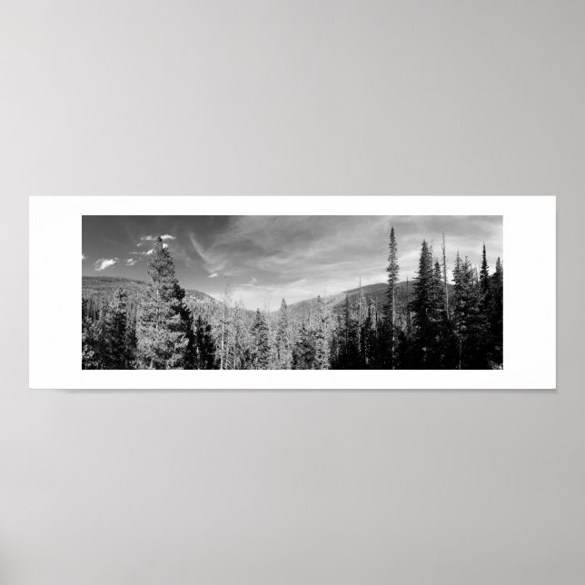 Poster Forêt Bois noir et blanc Photo Panoramique (Devant)