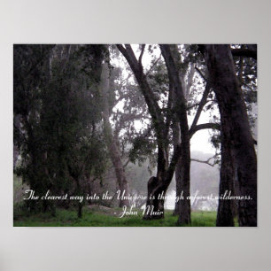 Poster Forêt d'arbres à Mist Muir Cote