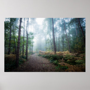 Poster Forêt   Dark Foggy Woods Norfolk UK