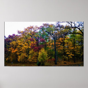 Poster Forêt d'automne sombre