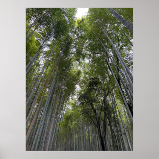 Poster Forêt de bambou - Kyoto