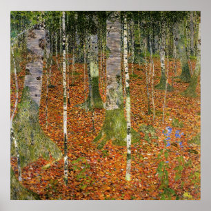 Poster Forêt de bouleau