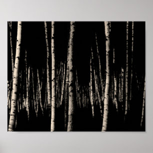 Poster Forêt de bouleaux à Sepia