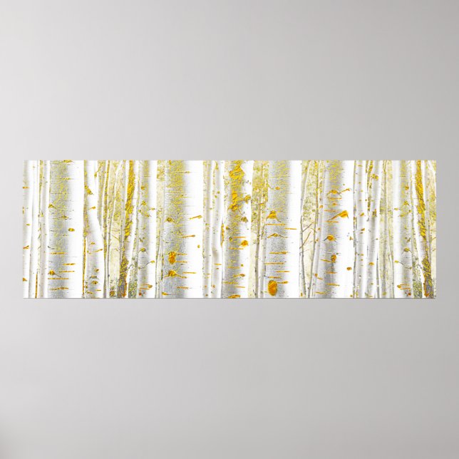 Poster Forêt de bouleaux d'or et de blanc (Devant)