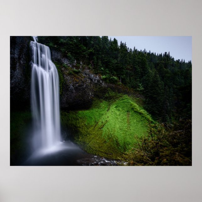 Poster Forêt de cascade (Devant)