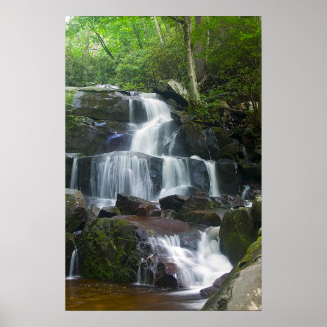 Poster Forêt de chutes d'eau de l'époque (Devant)