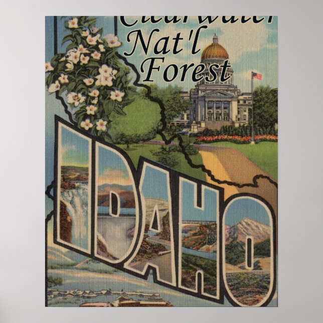 Poster Forêt de Clearwater Nat'l, Idaho (Devant)