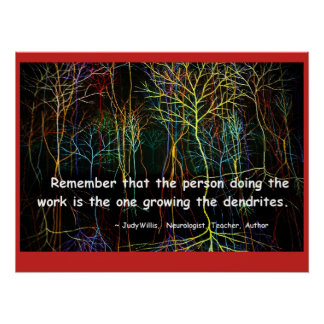 Poster Forêt de Dendrites