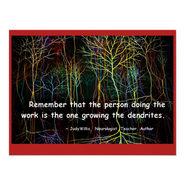 Poster Forêt de Dendrites (Devant)