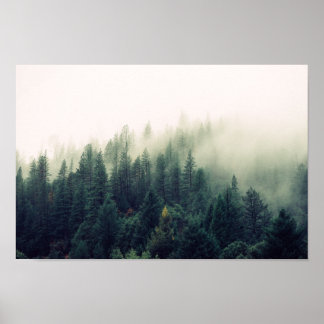 Poster Forêt de Foggy