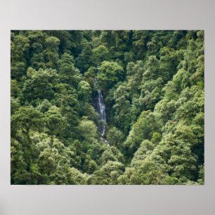 Poster Forêt de l'Himalaya dans la vallée de Mangdue, Bho