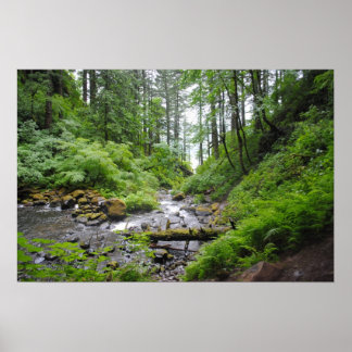 Poster Forêt de l'Oregon