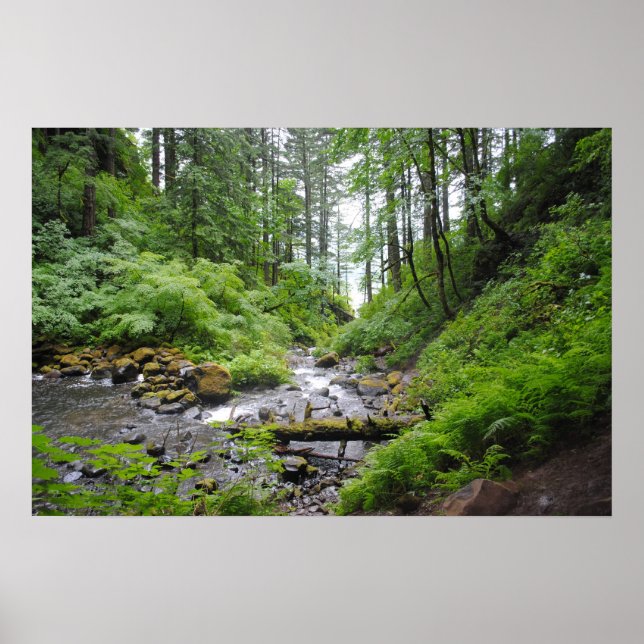 Poster Forêt de l'Oregon (Devant)